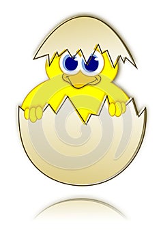 Happy easter chick in eggshell