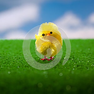 Happy easter chicken