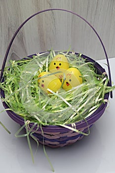 Happy Easter chickies,  little chicks, chicken eggs,