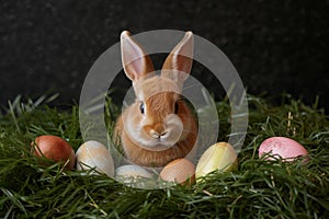 Happy easter christianity Eggs Hopeful Havens Basket. White Elegant Bunny wish. wildflower background wallpaper