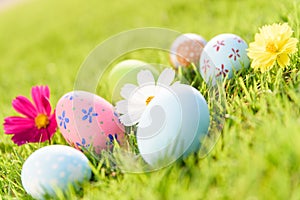 Happy easter! Closeup Colorful Easter eggs on green grass field