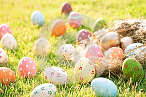 Happy easter!  Closeup Colorful Easter eggs in nest on green grass field during sunset background