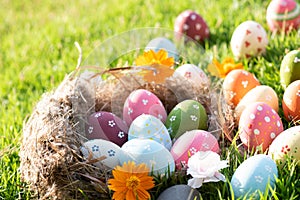 Happy easter!  Closeup Colorful Easter eggs in nest on green grass field during sunset background