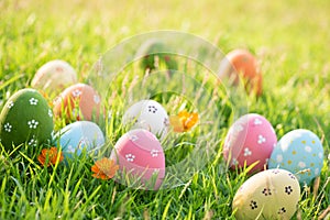 Happy easter!  Closeup Colorful Easter eggs in nest on green grass field during sunset background