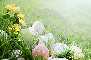 Happy easter! Closeup Colorful Easter eggs in nest