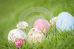 Happy easter! Closeup Colorful Easter eggs in nest
