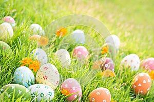 Happy easter!  Closeup Colorful Easter eggs in nest on green grass field during sunset background