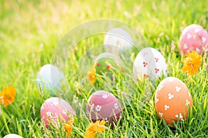 Happy easter!  Closeup Colorful Easter eggs in nest on green grass field during sunset background