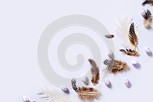 Happy easter concept with feathers and easter eggs on lilac colors background