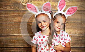 Happy easter! cute twins girls sisters dressed as rabbits on wo