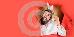 Happy Easter day. Bearded man in bunny ears with white egg looking through paper hole. Bunny rabbit man preparing for