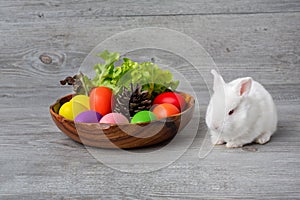 Happy Easter Day. Bunny with a basket eggs and pine cones. Rabbit with colorful Easter eggs in a wooden tray decorated with