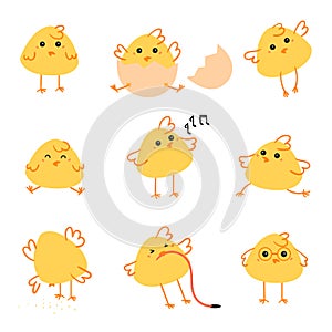 Happy Easter day chicken illustration