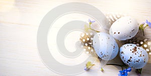 Happy Easter day; Holidays background with Easter eggs and spring flowers on table