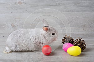 Happy Easter Day. Rabbit with colorful Easter eggs on wood. Cute Easter bunny rabbit with painted Easter eggs on wood background