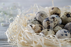 Happy easter decoration with quail egss in the nest, macro closeup