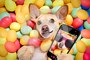 Happy easter dog with eggs selfie