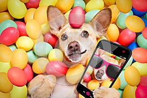 Happy easter dog with eggs selfie