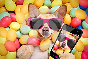 Happy easter dog with eggs selfie