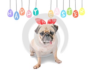 Happy Easter. Dog Pug wearing rabbit bunny ears sitting near pastel colorful eggs with copy space.