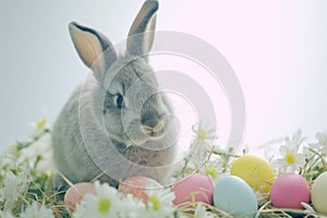 Happy easter easter eggs Eggs Lamb Basket. White saturated Bunny Creative. plush decoration background wallpaper