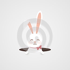 Happy Easter. Easter Rabbit bunny looking from a hole isolated. Cute, funny cartoon rabbits character pops out of the
