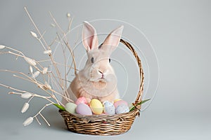 Happy easter easter ribbon flower Eggs Blooming Blossoms Basket. White laugh out loud Bunny Turquoise Summer. rabbit background