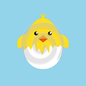 Happy easter egg chick sign, background vector