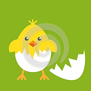 Happy easter egg chick sign, background vector