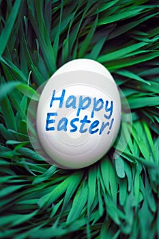 Happy Easter egg hidden in grass