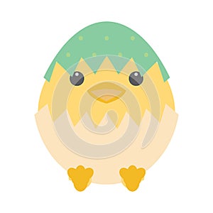 happy easter egg new born chick. Vector illustration decorative design