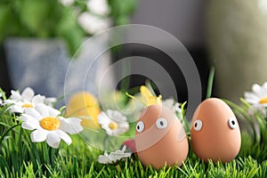 Happy Easter eggs in the kitchen among the spring grass with flowers, Easter egg hunt, egg characters with funny faces, Happy East