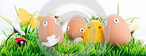 Happy Easter eggs in a row among the spring grass with flowers on an isolated white background, frame, border, egg characters with