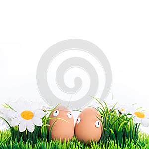 Happy Easter eggs in a row among the spring grass with flowers on an isolated white background, frame, border, egg characters with
