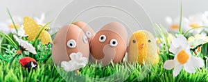 Happy Easter eggs among the spring grass with flowers on an isolated gray background, Easter egg hunt, frame, egg characters with