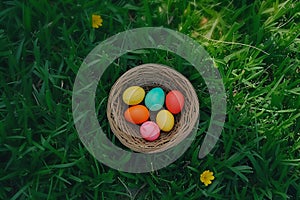 Happy easter Flower cluster Eggs Sweets Basket. White Rose Shadow Bunny forsythias. charming background wallpaper