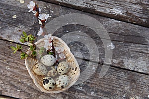 Happy easter with flowers and quail eggs