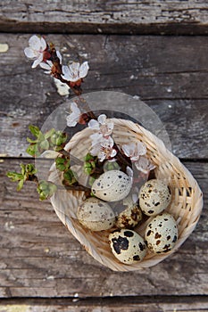 Happy easter with flowers and quail eggs