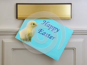 Happy Easter Greetings Card - Chick on blue background