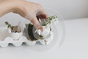 Happy Easter. Hand holding egg shell with blooming snowdrops on background of wooden table. Simple stylish festive decoration.