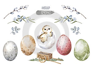 Happy easter hatching chick with set egg, willow stick. Hand painting illustration for design