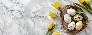 Happy Easter holiday celebration banner with painted eggs in bird nest basket and yellow tulip flowers