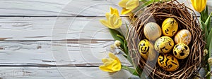 Happy Easter holiday celebration banner with painted eggs in bird nest basket and yellow tulip flowers