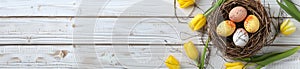 Happy Easter holiday celebration banner with painted eggs in bird nest basket and yellow tulip flowers