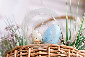 happy easter holiday time in spring season. basket with painted eggs, easter baked cakes, flowers and plants