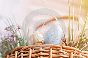 happy easter holiday time in spring season. basket with painted eggs, easter baked cakes, flowers and plants