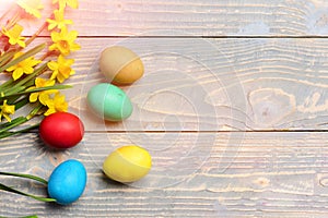 Colorful easter eggs with yellow narcissus on wood