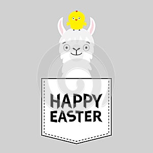 Happy Easter. Llama alpaca face head in the pocket. Chicken. Cute cartoon animals. Kawaii character. Dash line. White and black