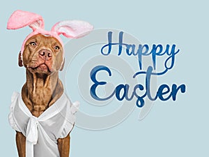 Happy Easter. Lovable, pretty puppy and congratulatory message