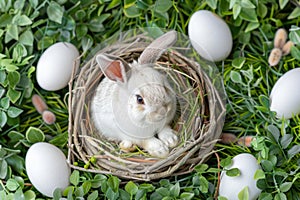 Happy easter Meadow blossom Eggs Easter love Basket. White script area Bunny Bunny hop. Easter design background wallpaper
